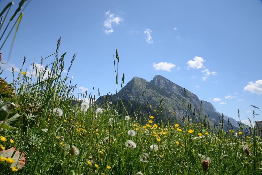 Der Alpenblick Sankt Johann im Pongau Exterior foto