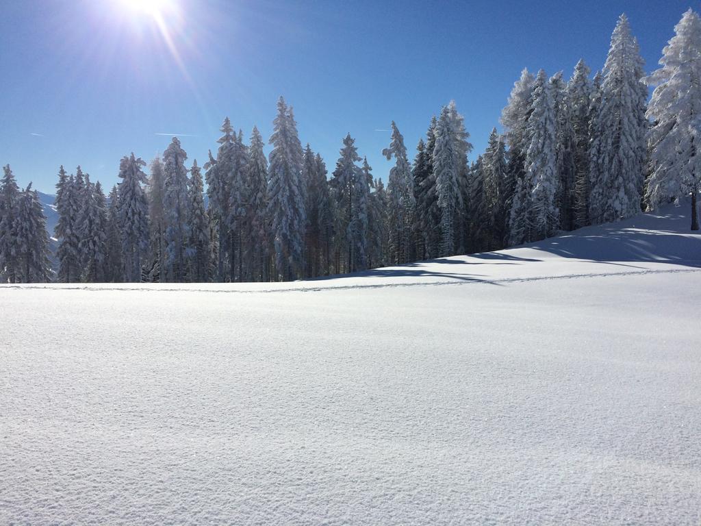 Der Alpenblick Sankt Johann im Pongau Exterior foto